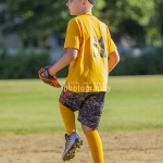 aIMG_2448