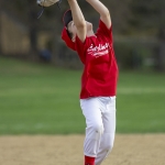 baseballAstros_2