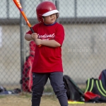 baseballAstros_33