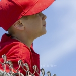 baseballAstros (4)
