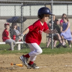 baseballBraves_8