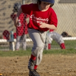 baseballBraves_81