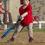 baseballBraves_83