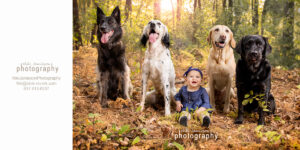Greater Boston Family Photography