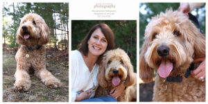 Greater Boston Pet Photography